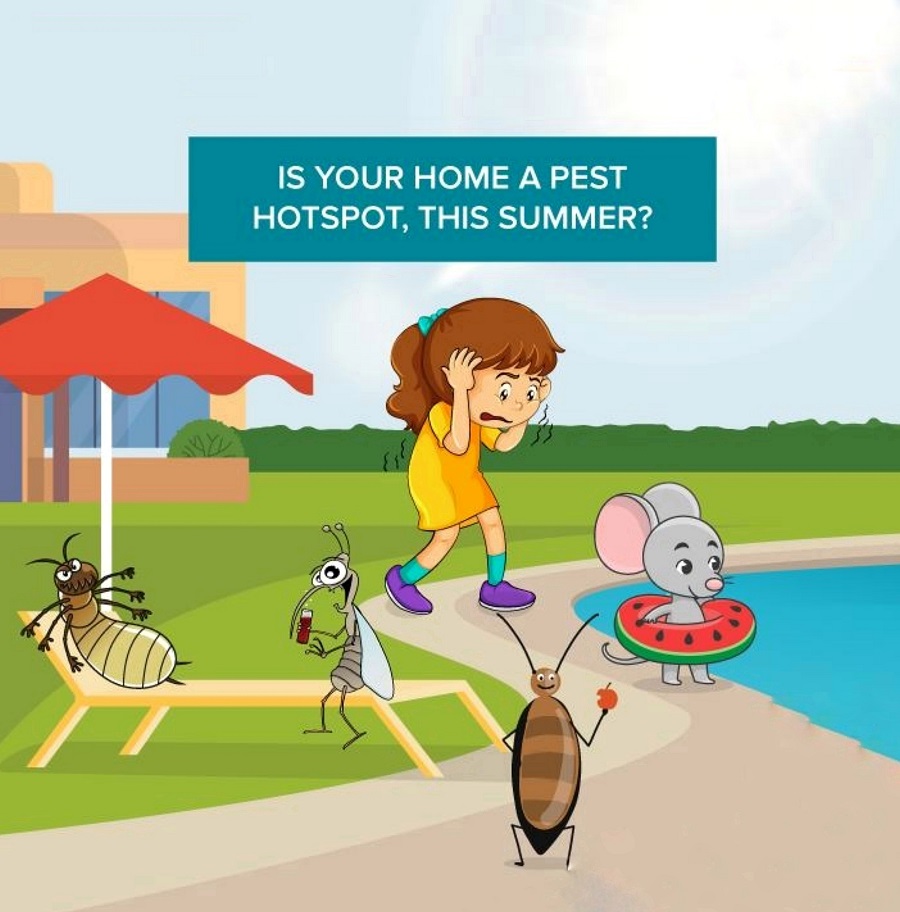 Integrated Pest Control Services in India | B.D. Pest Control