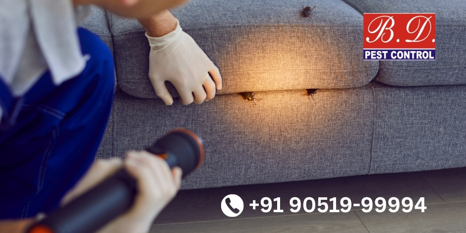 pest control prices in Alipore