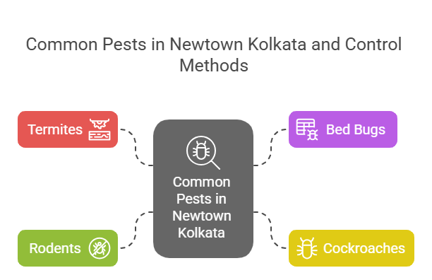 Common Pests in Newtown Kolkata