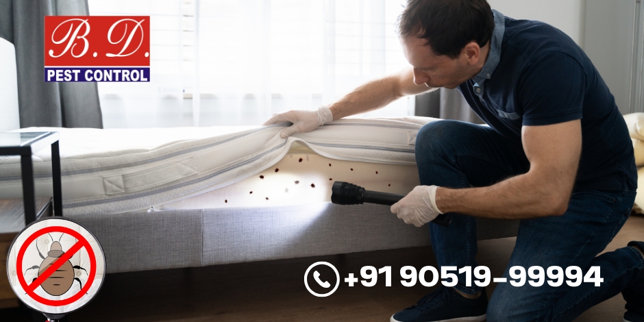 pest control services in Rajarhat