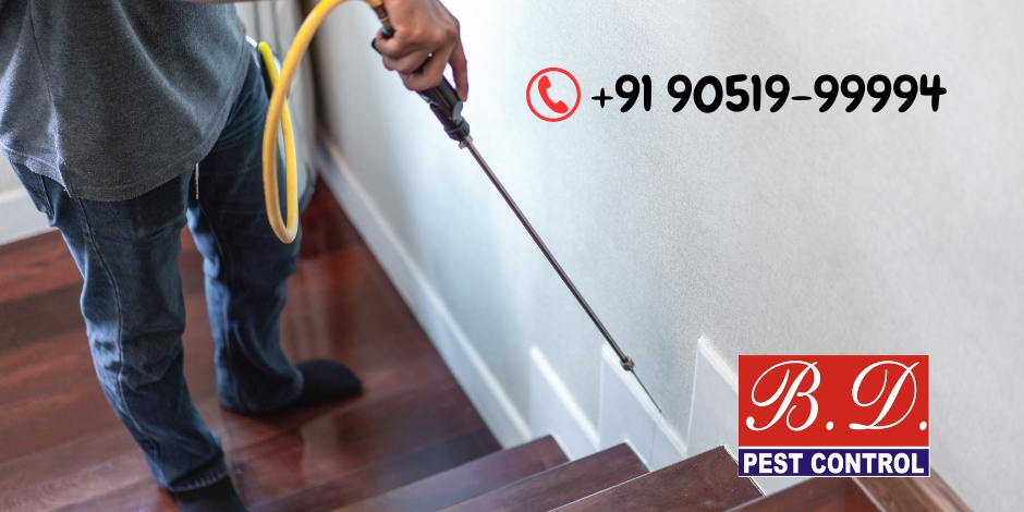 anti termite treatment in south kolkata