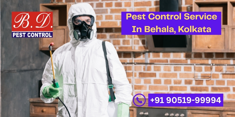 Pest Control Service in Behala, Kolkata
