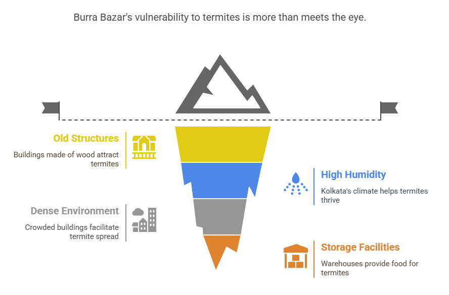 termite control services in burrabazar