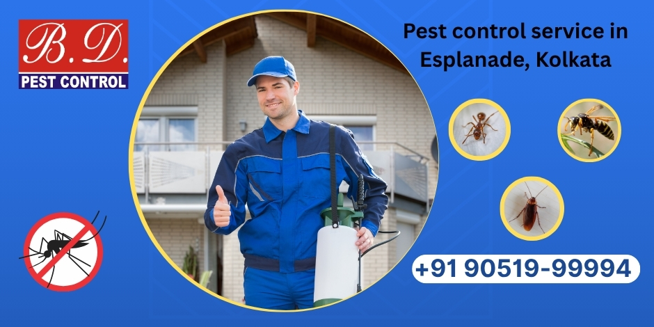 Pest Control Services in Esplanade, Kolkata