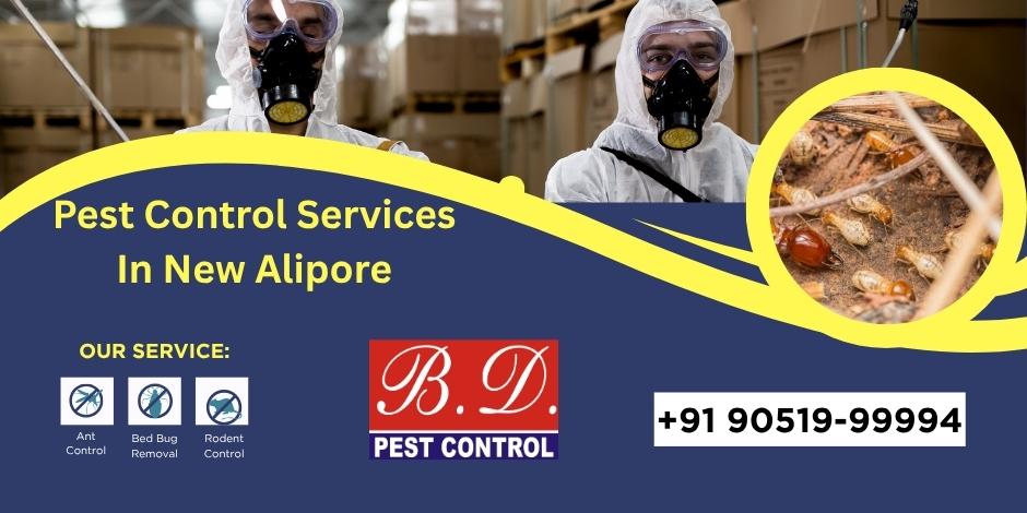 Expert Pest Control Services in New Alipore