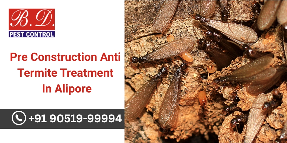 Essential Pre-Construction Anti Termite Treatment in Alipore