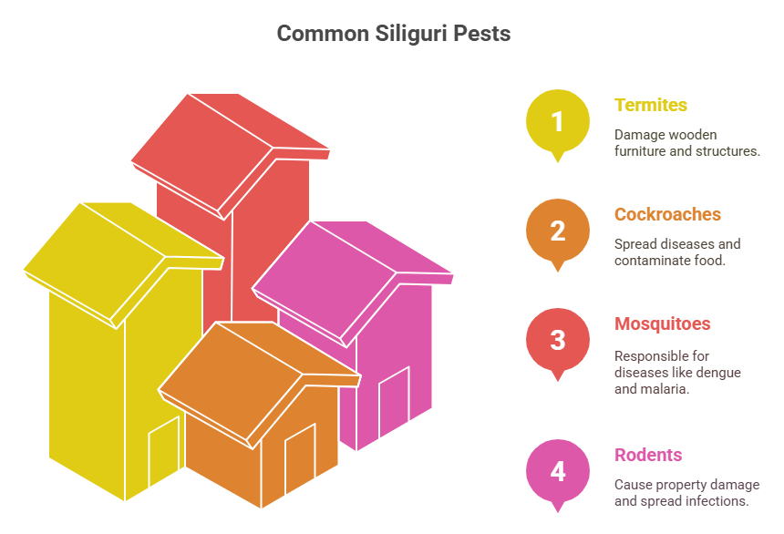 pest control services in siliguri