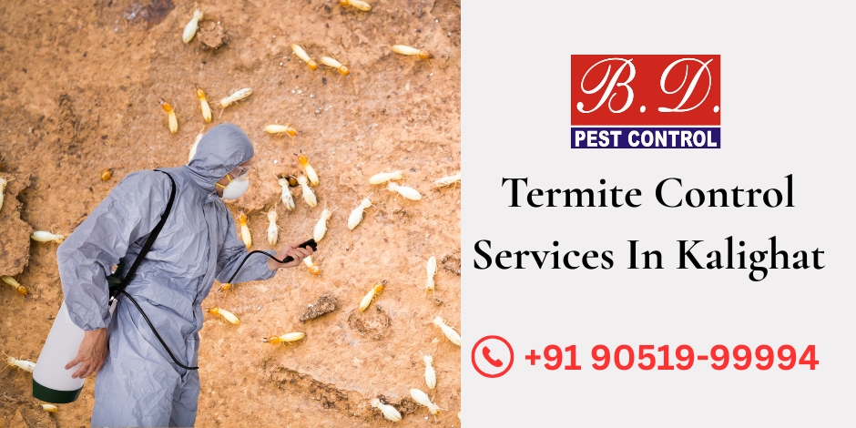 Termite Control Services in Kalighat