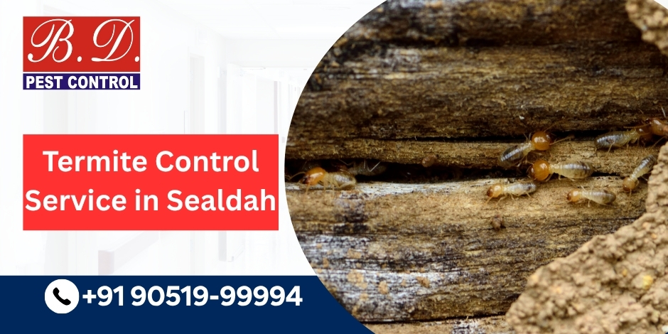 TERMITE CONTROL SERVICE IN SEALDAH