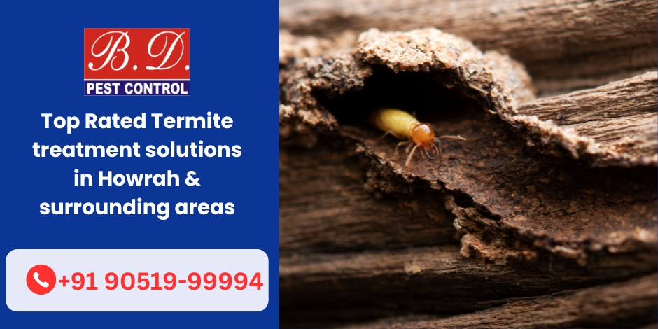 Top Rated Termite treatment solutions in Howrah & surrounding areas