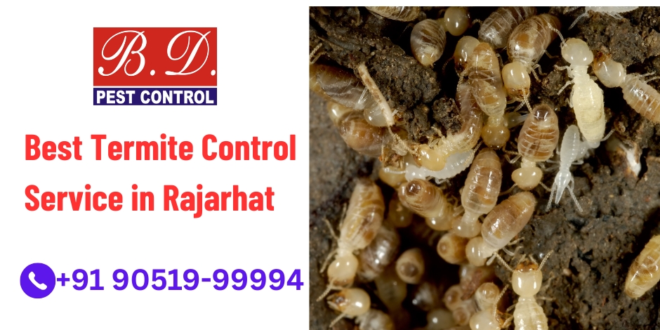best termite control services in rajarhat