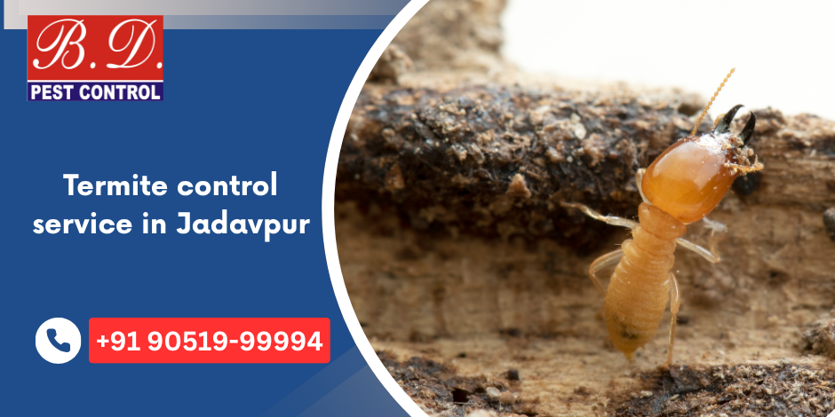 termite control service in Jadavpur