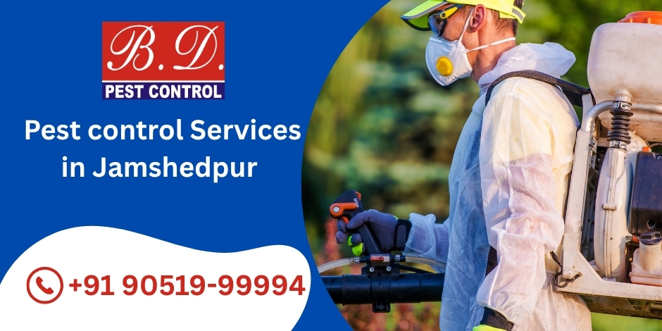 Pest Control Services in Jamshedpur