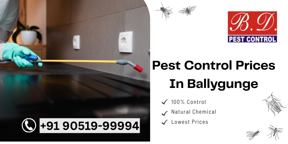 pest control prices in ballygunge