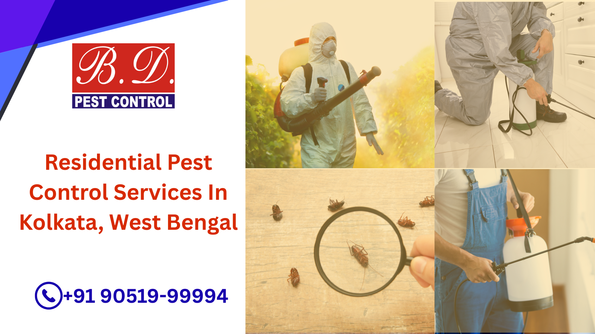 Residential Pest Control Services in Kolkata, West Bengal