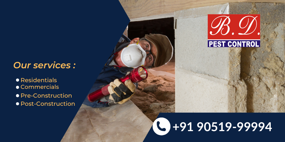 termite control services in Garia