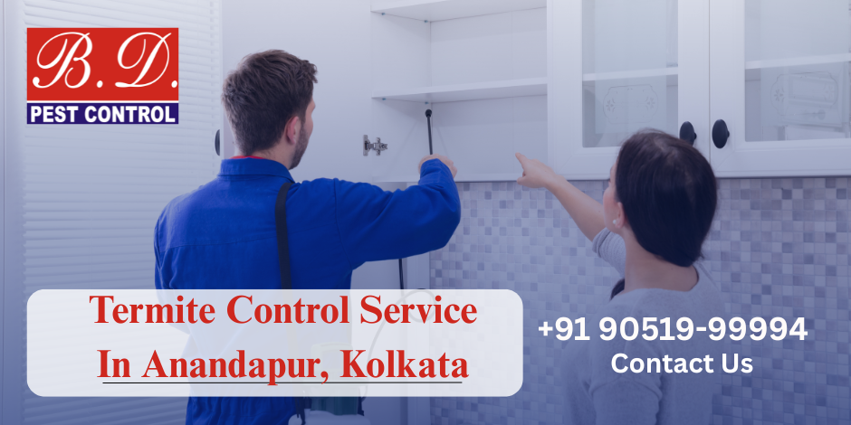 Termite Control Service in Anandapur, Kolkata