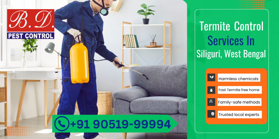 Termite control service in Siliguri, Kolkata