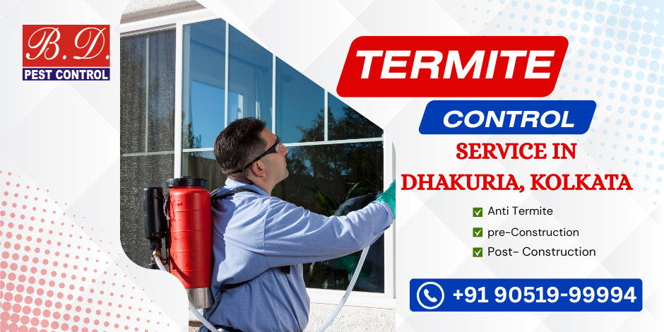 Termite control service in Dhakuria, Kolkata