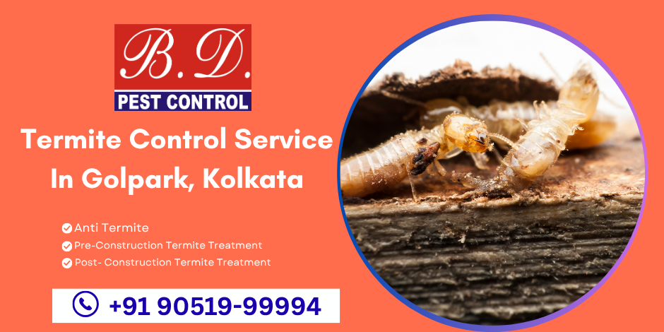 Termite control service in Golpark, Kolkata