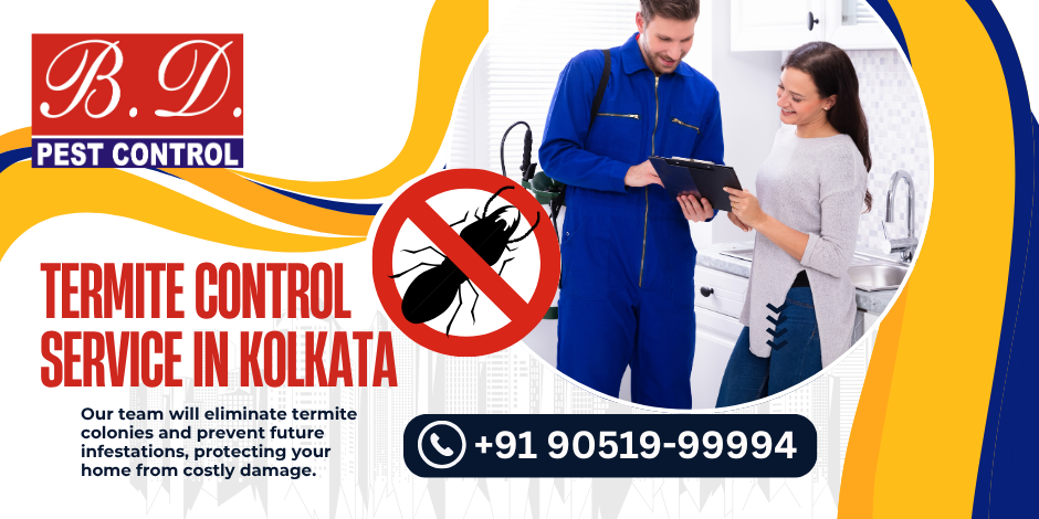 TERMITE CONTROL SERVICE IN KOLKATA