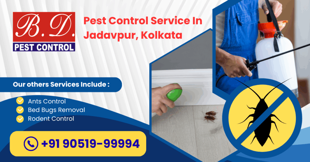 Pest Control Service in Jadavpur, Kolkata