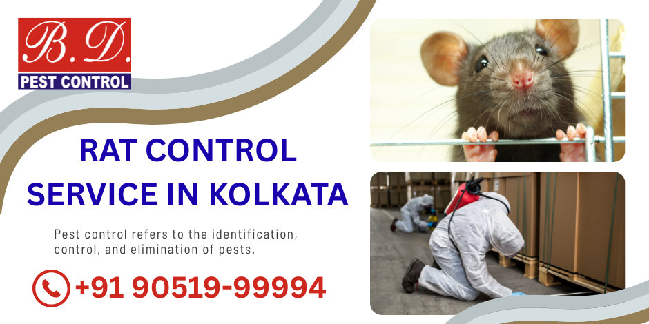 RAT CONTROL SERVICE IN KOLKATA