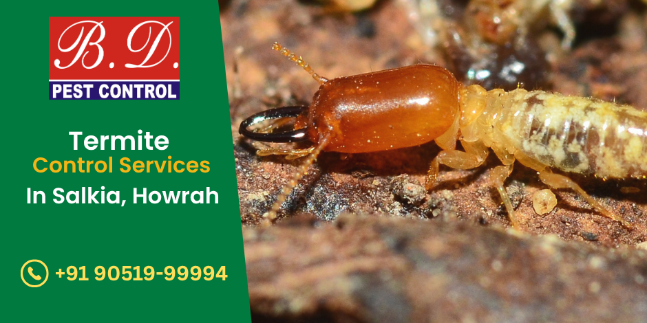 TERMITE CONTROL SERVICES IN SALKIA, hOWARAH