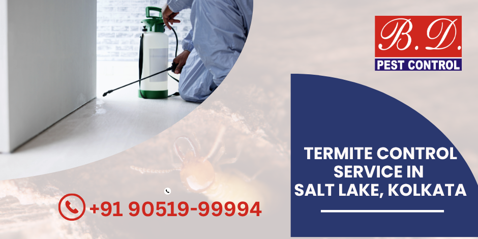 Termite Control service in Salt Lake, Kolkata