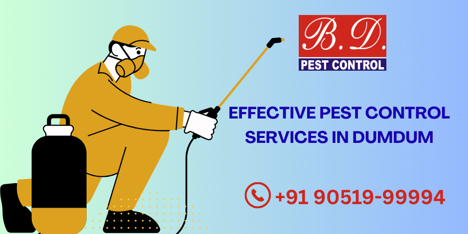 Effective Pest Control Services in Dumdum
