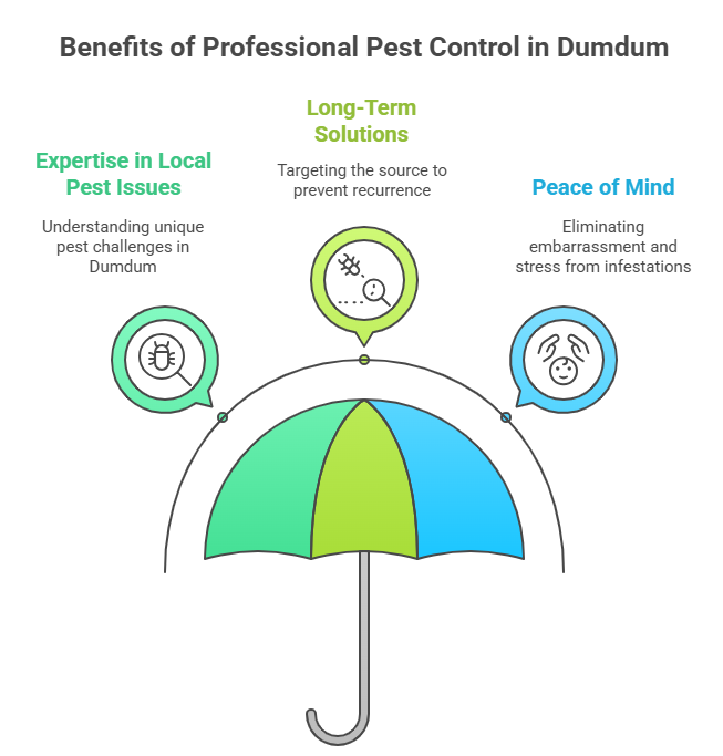 Effective Pest Control Services in Dumdum