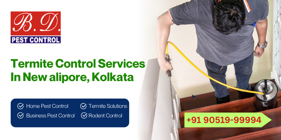 Termite Control services in New Alipore, Kolkata