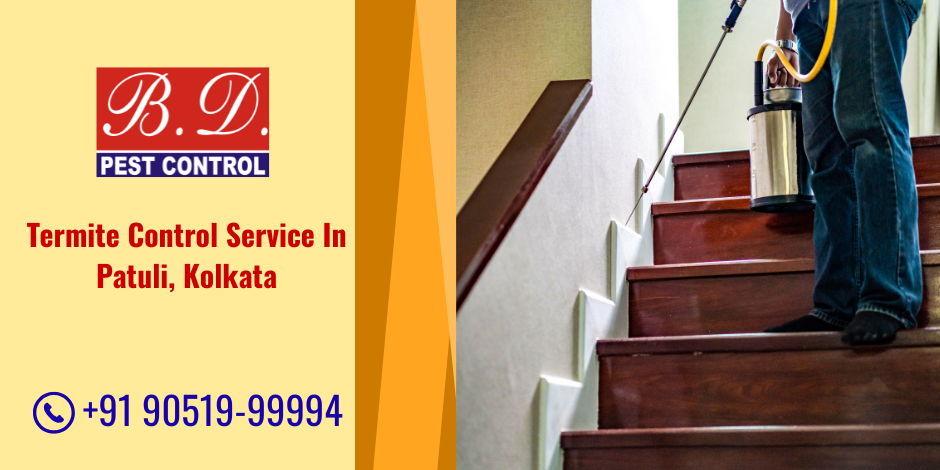 termite control service in Patuli, Kolkata