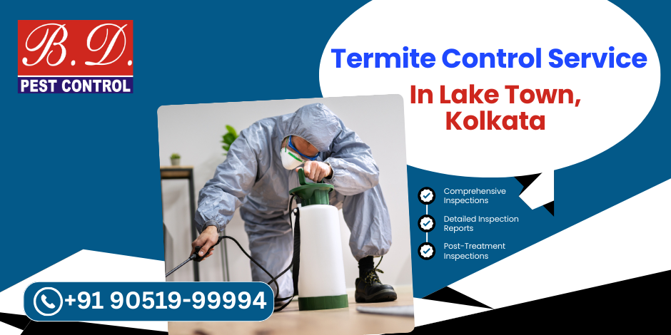 Termite Control Service in Lake Town, Kolkata