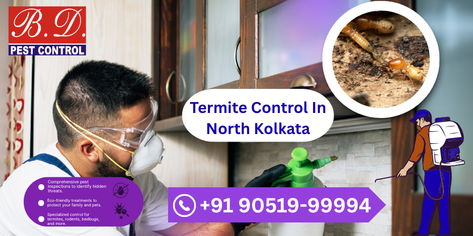 Termite Control In North Kolkata