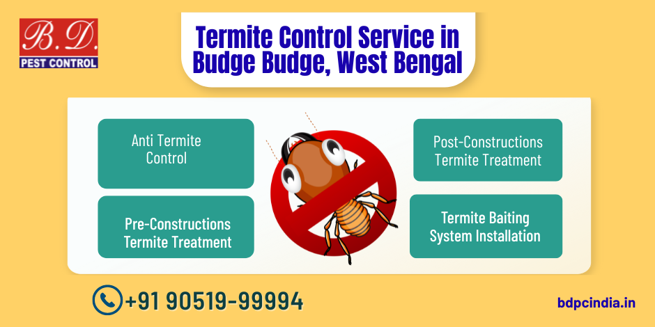 Termite Control Service in Budge Budge, West Bengal