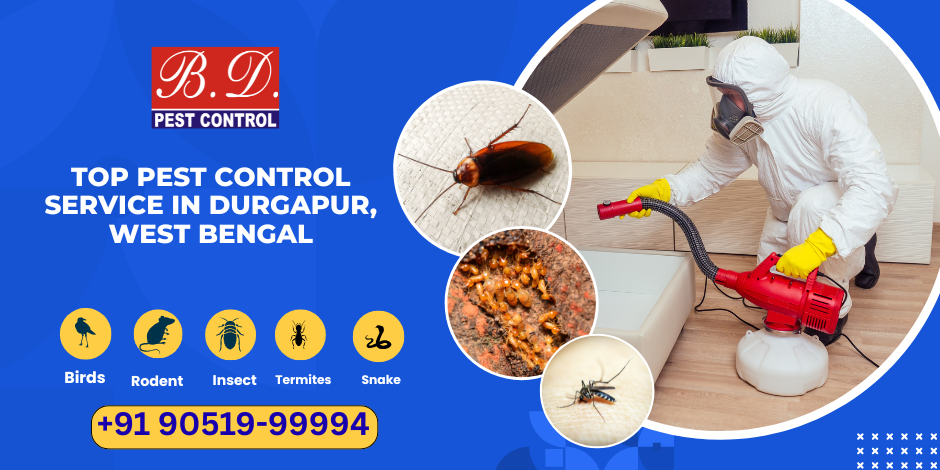 Top Pest Control Service in Durgapur, West Bengal