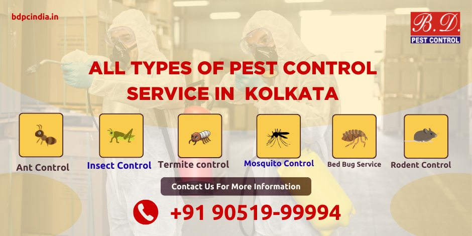 All types of pest control service in kolkata