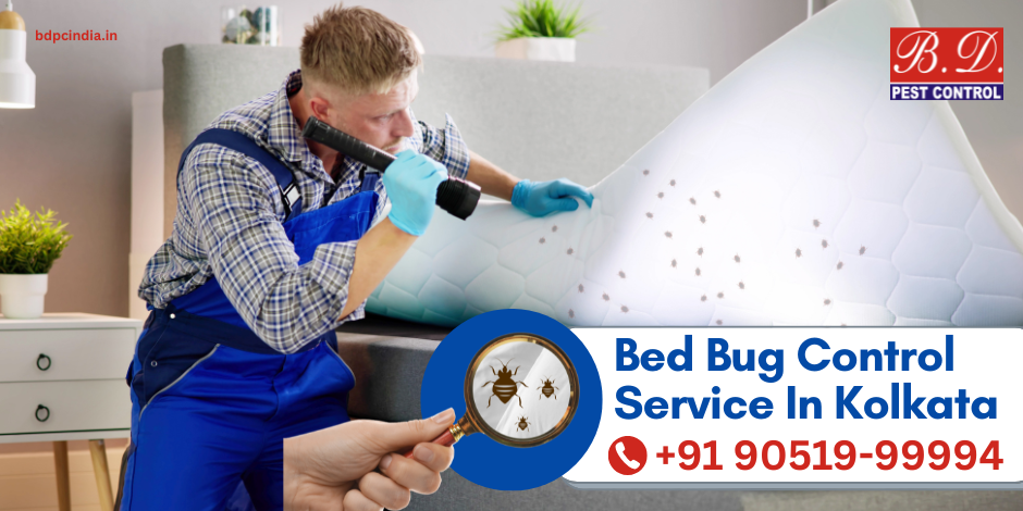 BED BUG CONTROL SERVICES IN KOLKATA