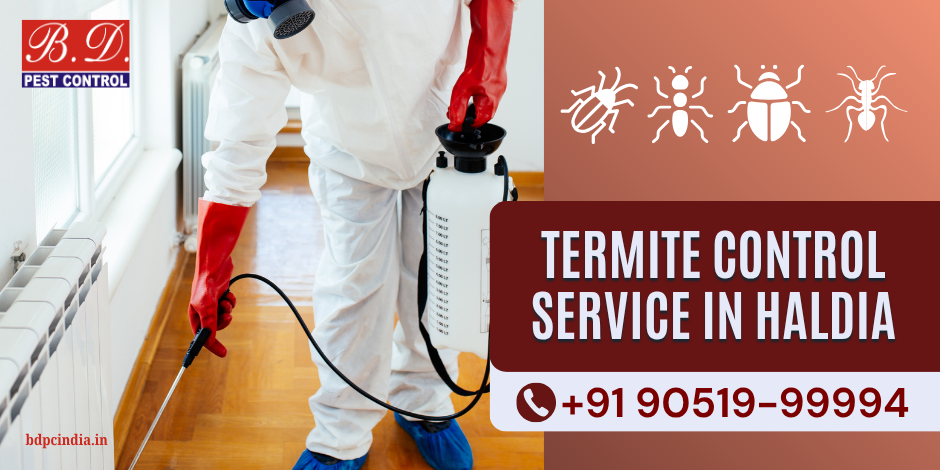 TERMITE CONTROL SERVICE IN HALDIA