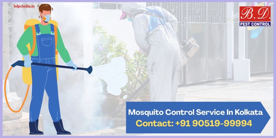 mosquito control service in kolkata