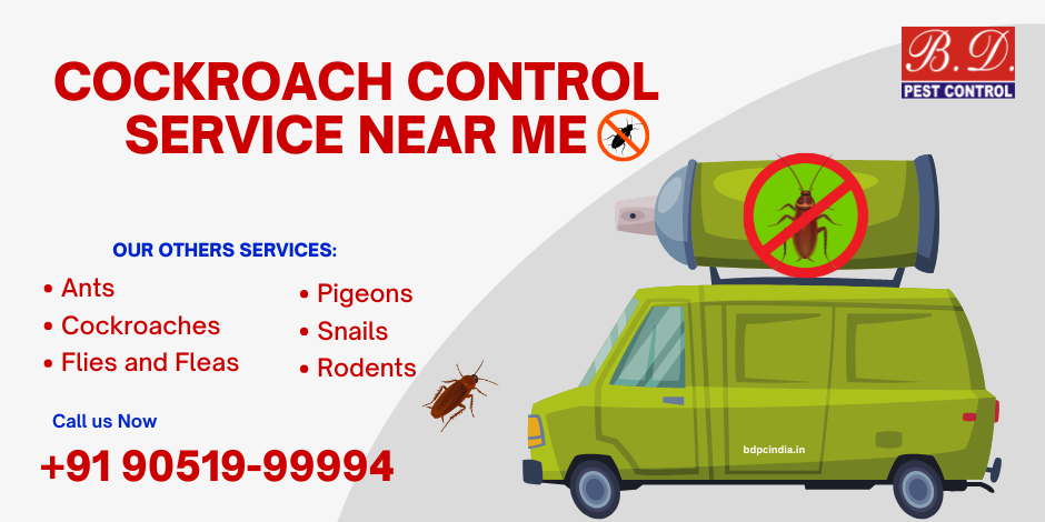 Cockroach Control service near me