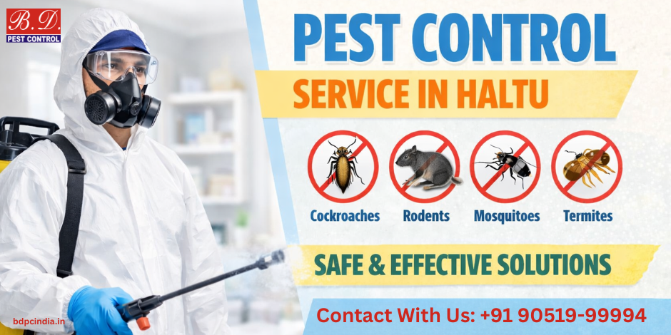 PEST CONTROL SERVICE IN HALTU